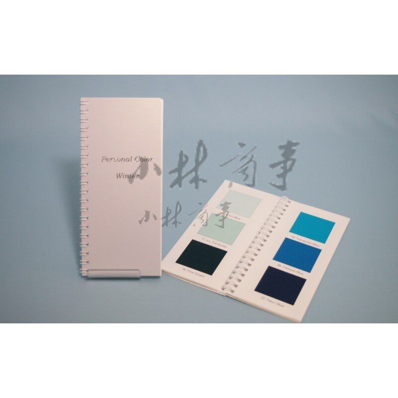 AOJASIN カラーチャート 170*75mm 30色 ｜ AOJASIN color chart 170*75mm 30 colours ｜ aojasin四季色彩色卡每季30色共120色美容化妆沙龙高档170*75mm
