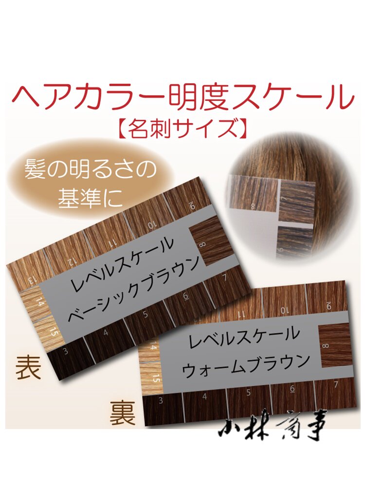 小林商事 定規 ｜ Kobayashi Shoji ruler ｜ 小林商事发色明度测试尺正面基本色背面暖色调各15级名片大6-031