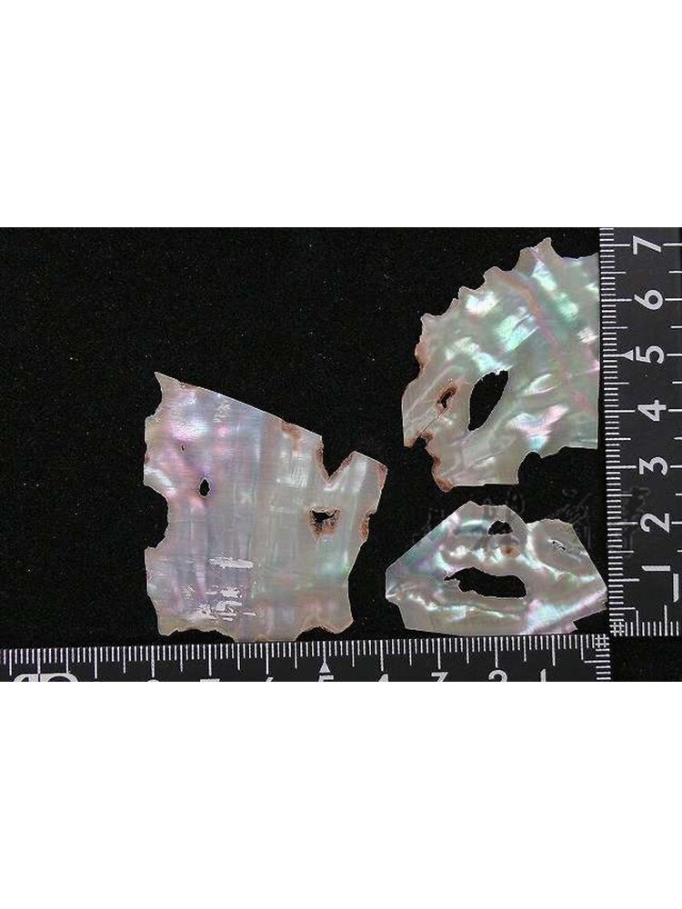 日本 螺鈿・貝類 選択可 ｜ Mother-of-Pearl Inlay selectable ｜ 日本螺钿粗工贝壳漆艺漆画多款可选